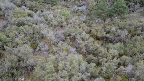 a view of a field of grass and trees