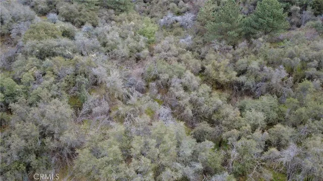 $40,000 | 0 Apn 190-430-43 Squaw Valley, Squaw Valley, CA 93675