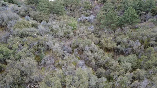 $40,000 | 0 Apn 190-430-43 Squaw Valley, Squaw Valley, CA 93675