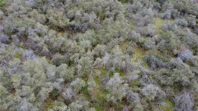 $40,000 | 0 Apn 190-430-43 Squaw Valley, Squaw Valley, CA 93675