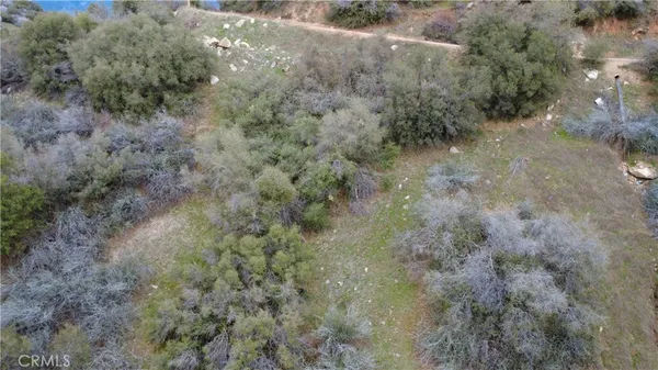 a view of a dry yard with green space