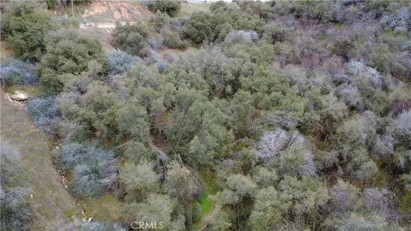 a view of a covered with green field
