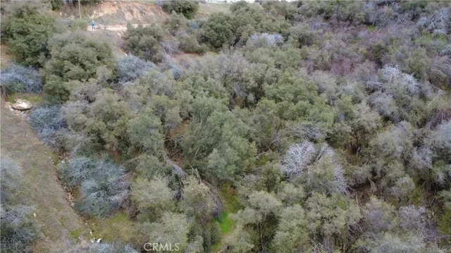 $40,000 | 0 Apn 190-430-43 Squaw Valley, Squaw Valley, CA 93675