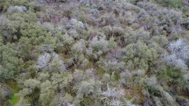 $40,000 | 0 Apn 190-430-43 Squaw Valley, Squaw Valley, CA 93675