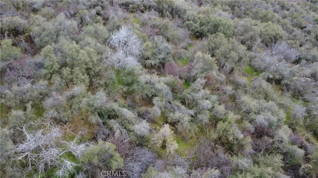 $40,000 | 0 Apn 190-430-43 Squaw Valley, Squaw Valley, CA 93675