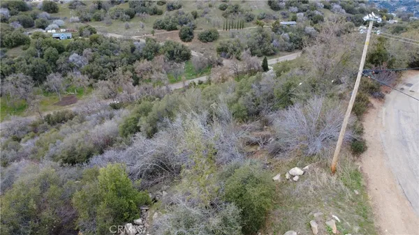 a view of a forest with trees all around