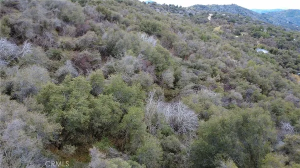 a view of a field of grass and trees
