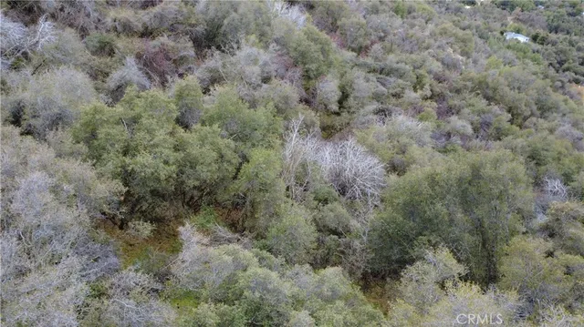 $40,000 | 0 Apn 190-430-43 Squaw Valley, Squaw Valley, CA 93675