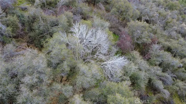 $40,000 | 0 Apn 190-430-43 Squaw Valley, Squaw Valley, CA 93675