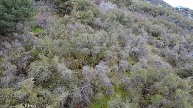 $40,000 | 0 Apn 190-430-43 Squaw Valley, Squaw Valley, CA 93675