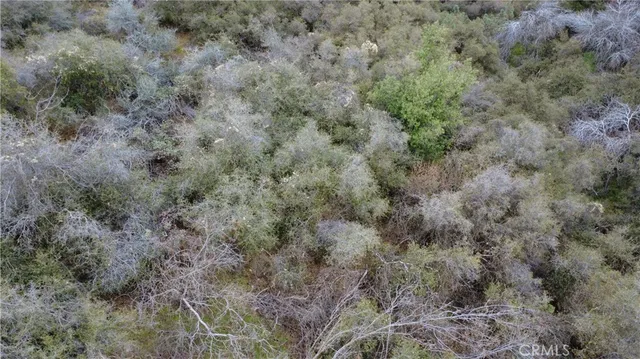 $40,000 | 0 Apn 190-430-43 Squaw Valley, Squaw Valley, CA 93675