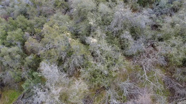 $40,000 | 0 Apn 190-430-43 Squaw Valley, Squaw Valley, CA 93675