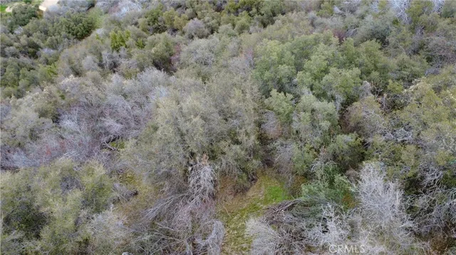 $40,000 | 0 Apn 190-430-43 Squaw Valley, Squaw Valley, CA 93675