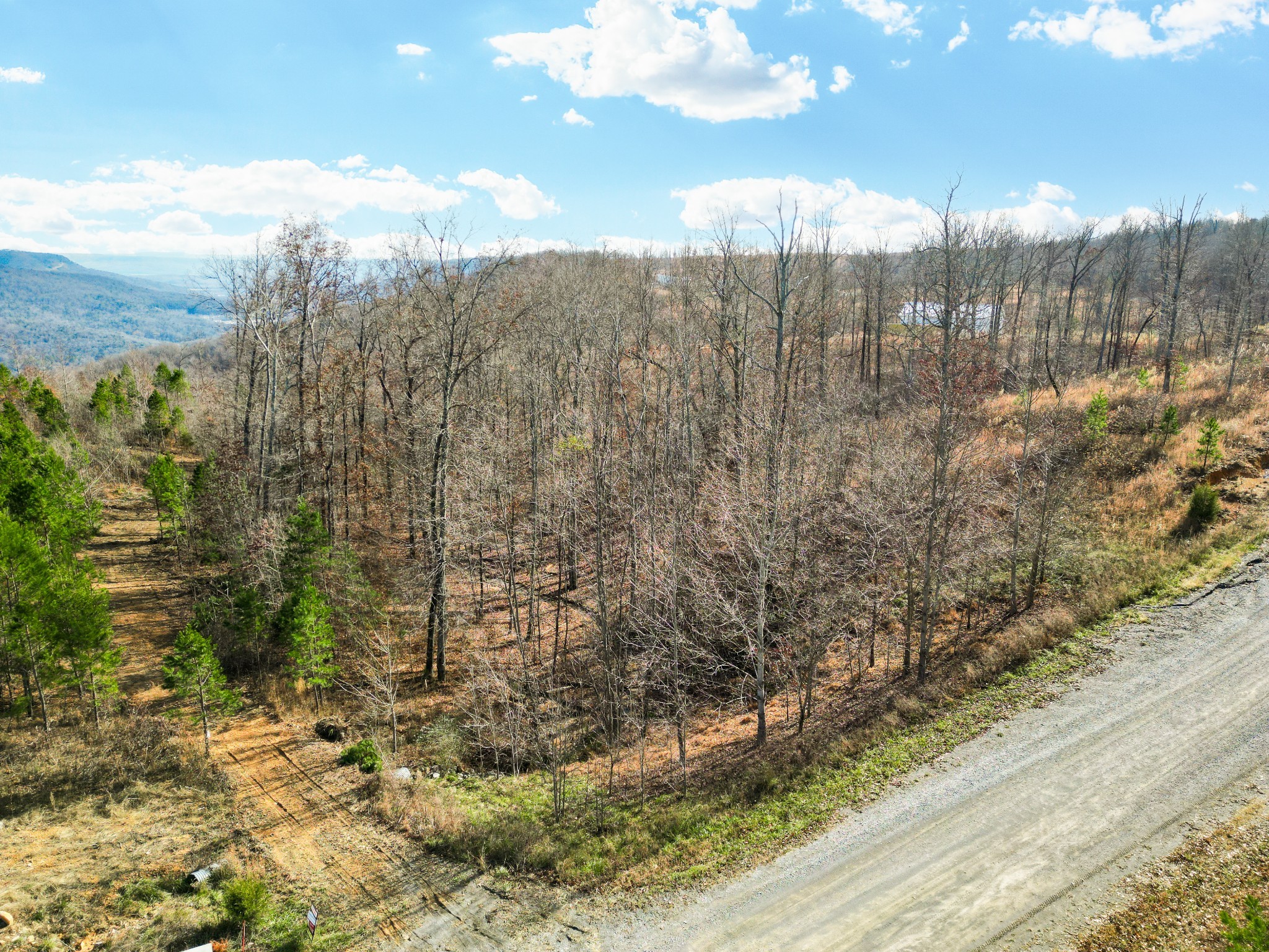 0 Jackson Point Road Sewanee, TN 37375 - Photo 5 of 14 Gallery Image 5
