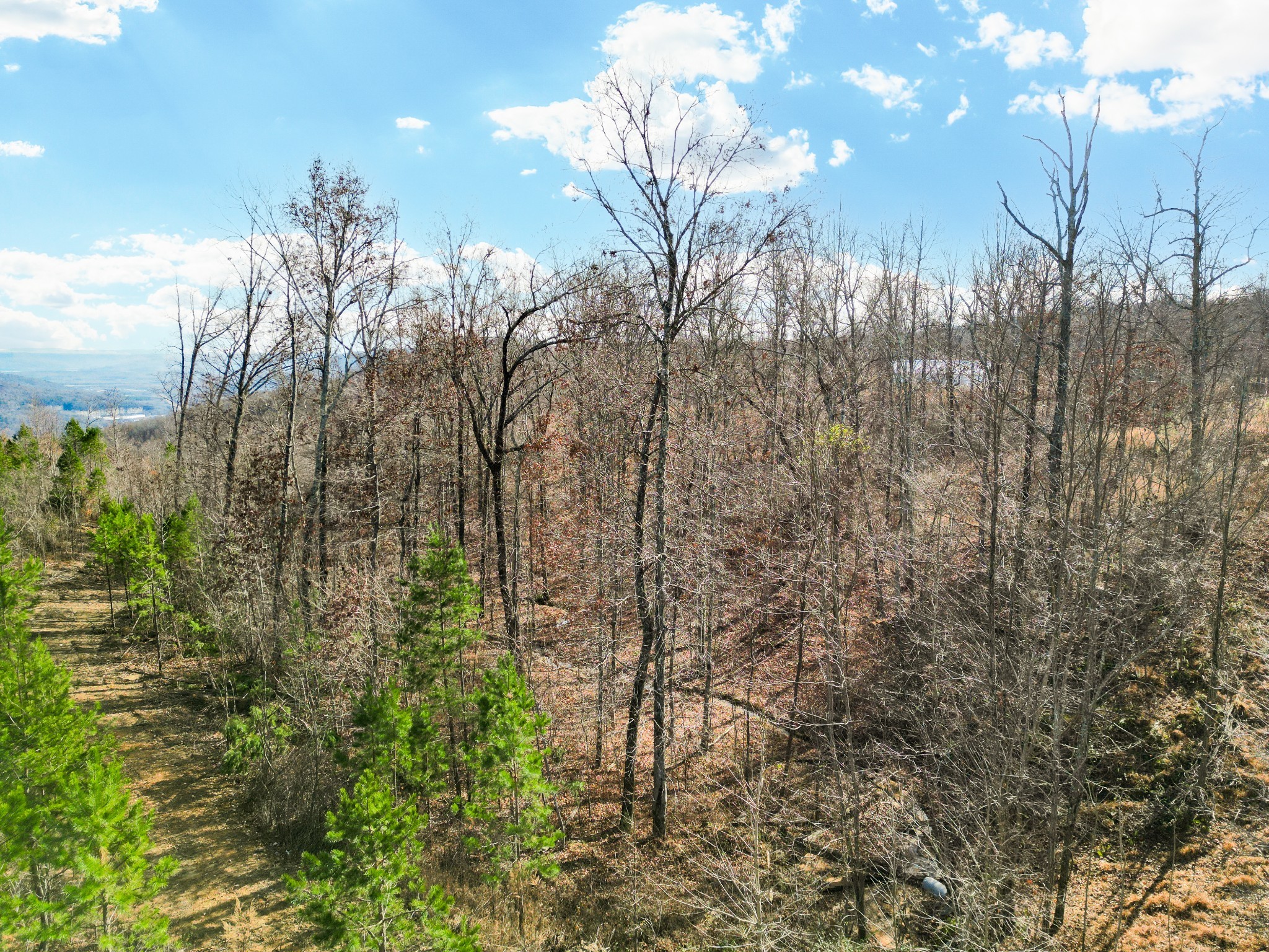 0 Jackson Point Road Sewanee, TN 37375 - Photo 6 of 14 Gallery Image 6
