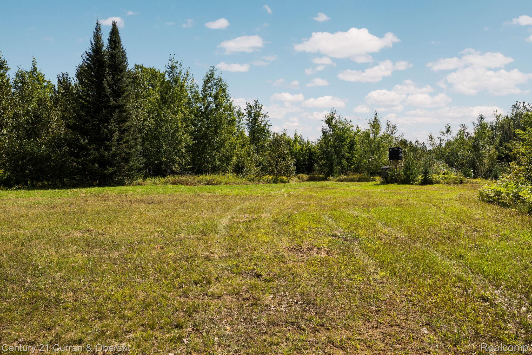 3265 Roost Road Onaway, MI 49765 - Photo 38 of 52 65-web-or-mls-CAG_8458.jpg
