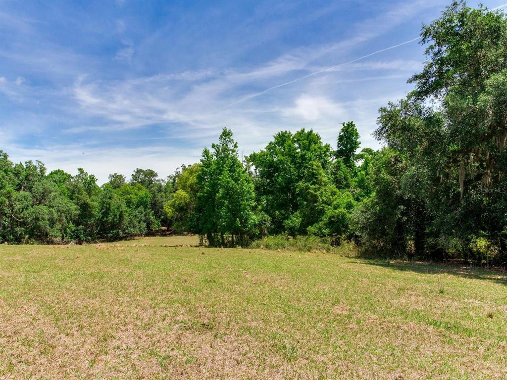Spring Lake Highway Brooksville, FL 34602 - Photo 28 of 49 a view of a yard with a tree