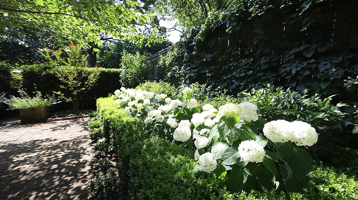 1823 St Marys Street Raleigh, NC 27608 - Photo 40 of 54 Backyard garden