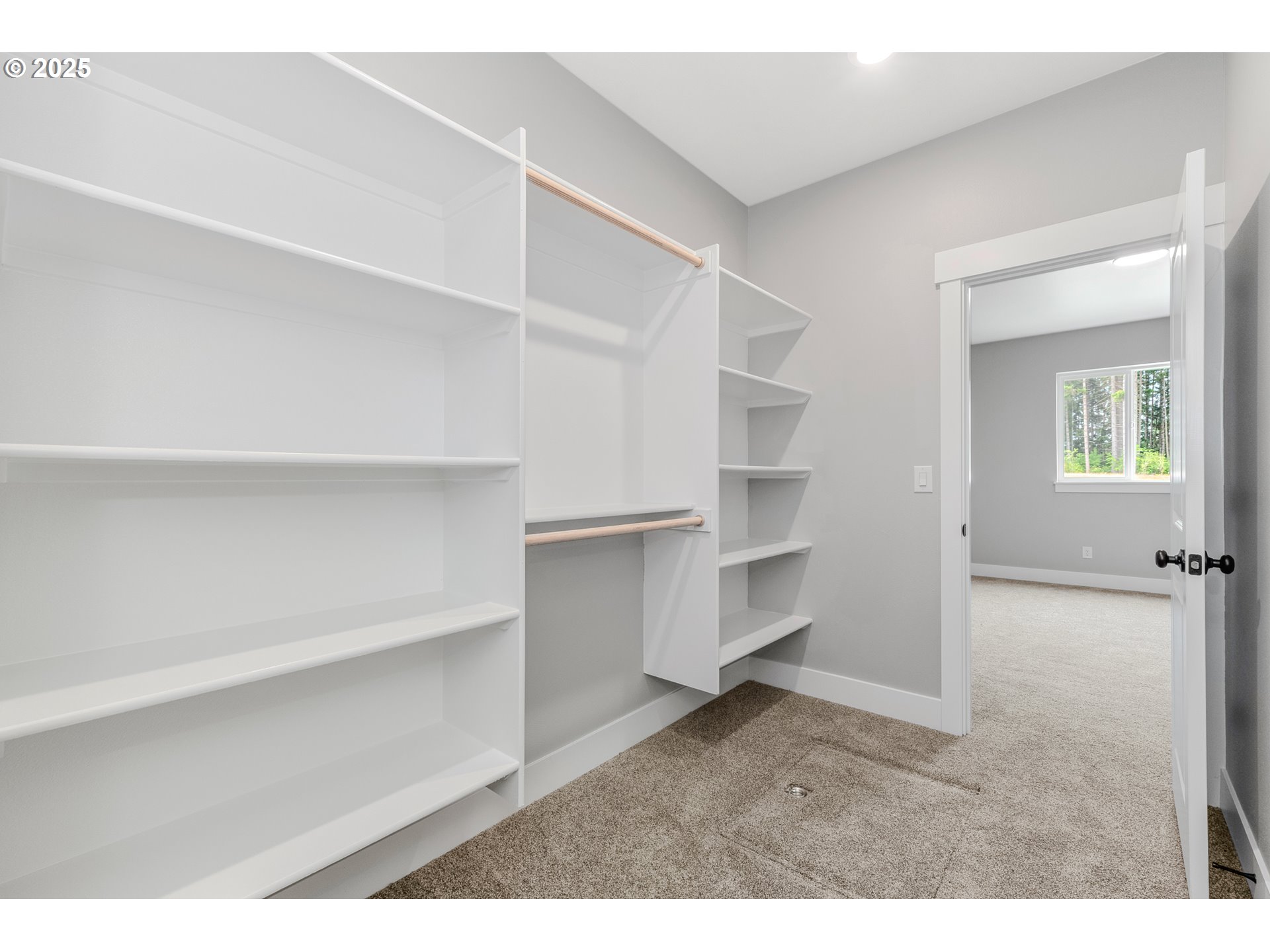 623 Vertex Street Winlock, WA 98596 - Photo 17 of 38 a view of an empty walk in closet