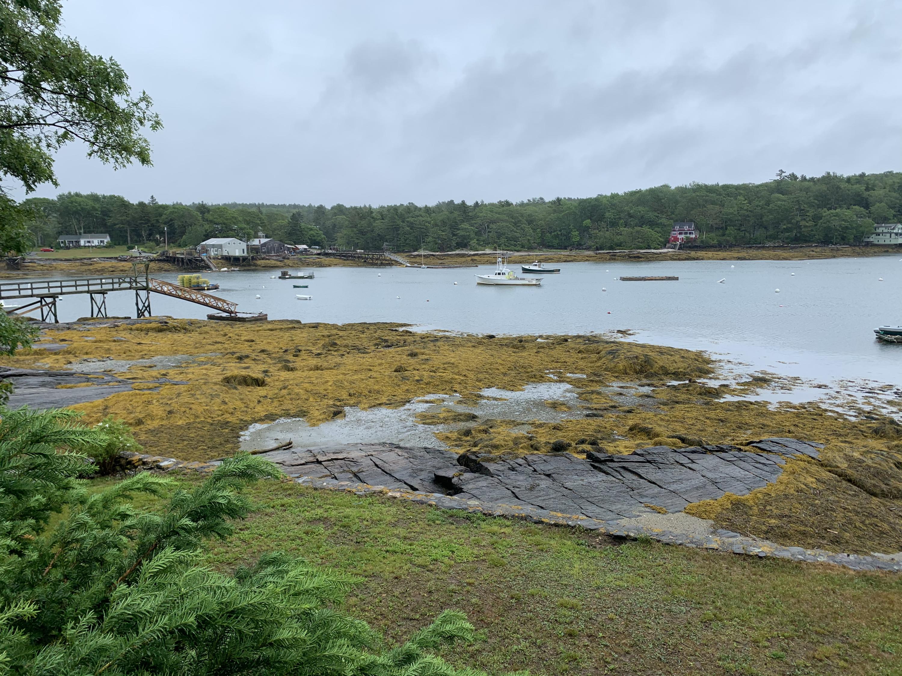 96 Murray Hill Road East Boothbay, ME 04544 - Photo 32 of 49 Waterfront