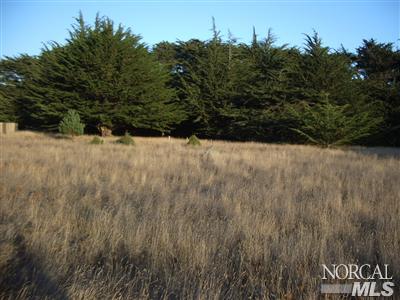 41125 Leeward Road The Sea Ranch, CA 95497 - Photo 5 of 6 Gallery Image 5