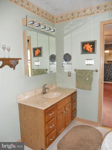 4632 Lower Beckleysville Road Hampstead, MD 21074 - Photo 12 of 27 Bath (Master)