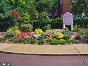 3512 Gunston Road Alexandria, VA 22302 - Photo 18 of 29 a front view of a house with a yard and a lot of flower plant in front of pathway