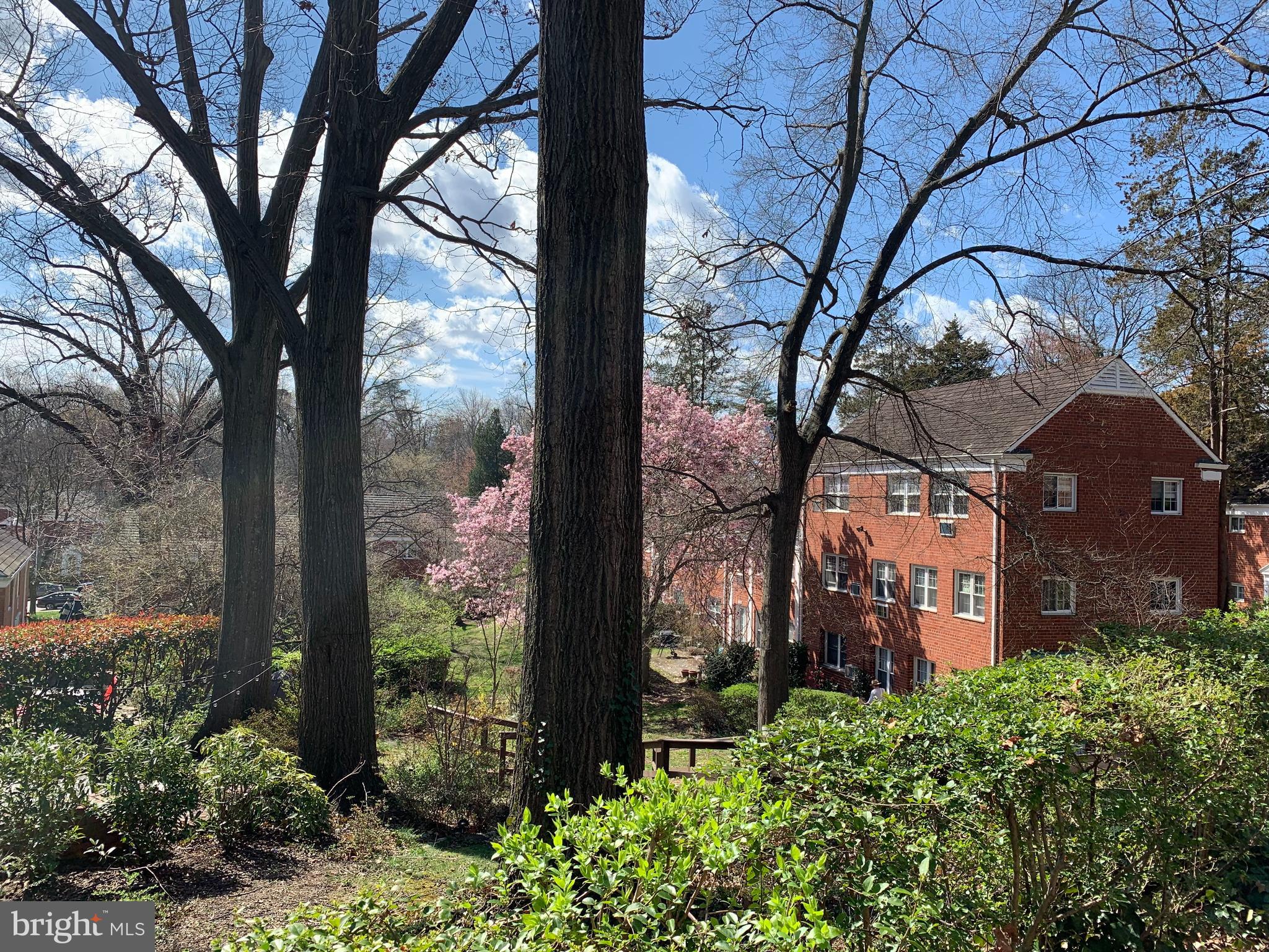 3512 Gunston Road Alexandria, VA 22302 - Photo 26 of 29 front view of a brick house with a large trees