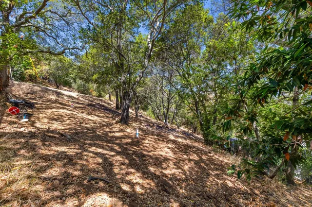 $995,000 | 0 South Palomar Drive, Redwood City, CA 94062