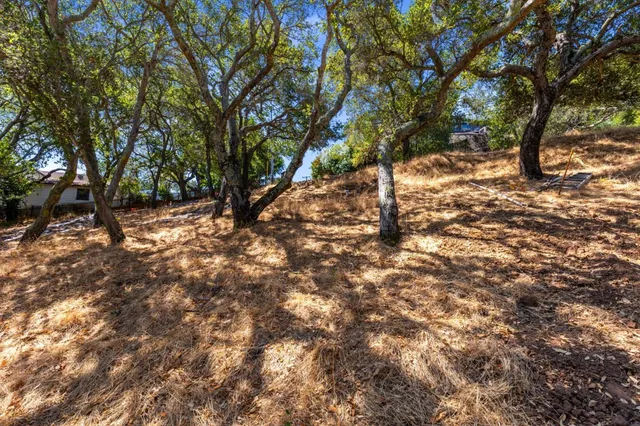 $995,000 | 0 South Palomar Drive, Redwood City, CA 94062