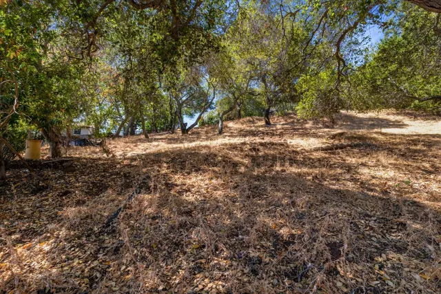 $995,000 | 0 South Palomar Drive, Redwood City, CA 94062