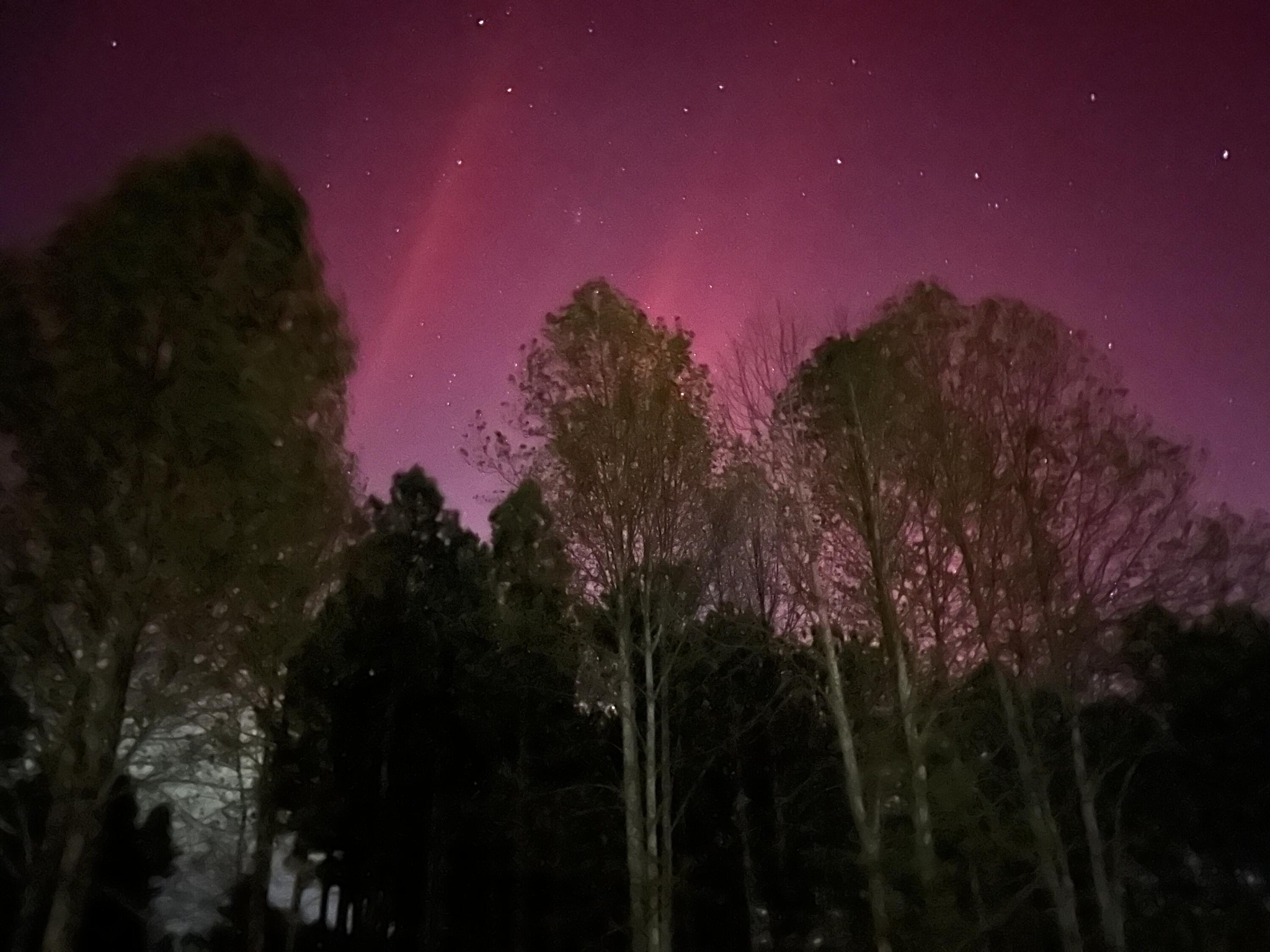 1130 Sunset Circle Jasper, TN 37347 - Photo 11 of 26