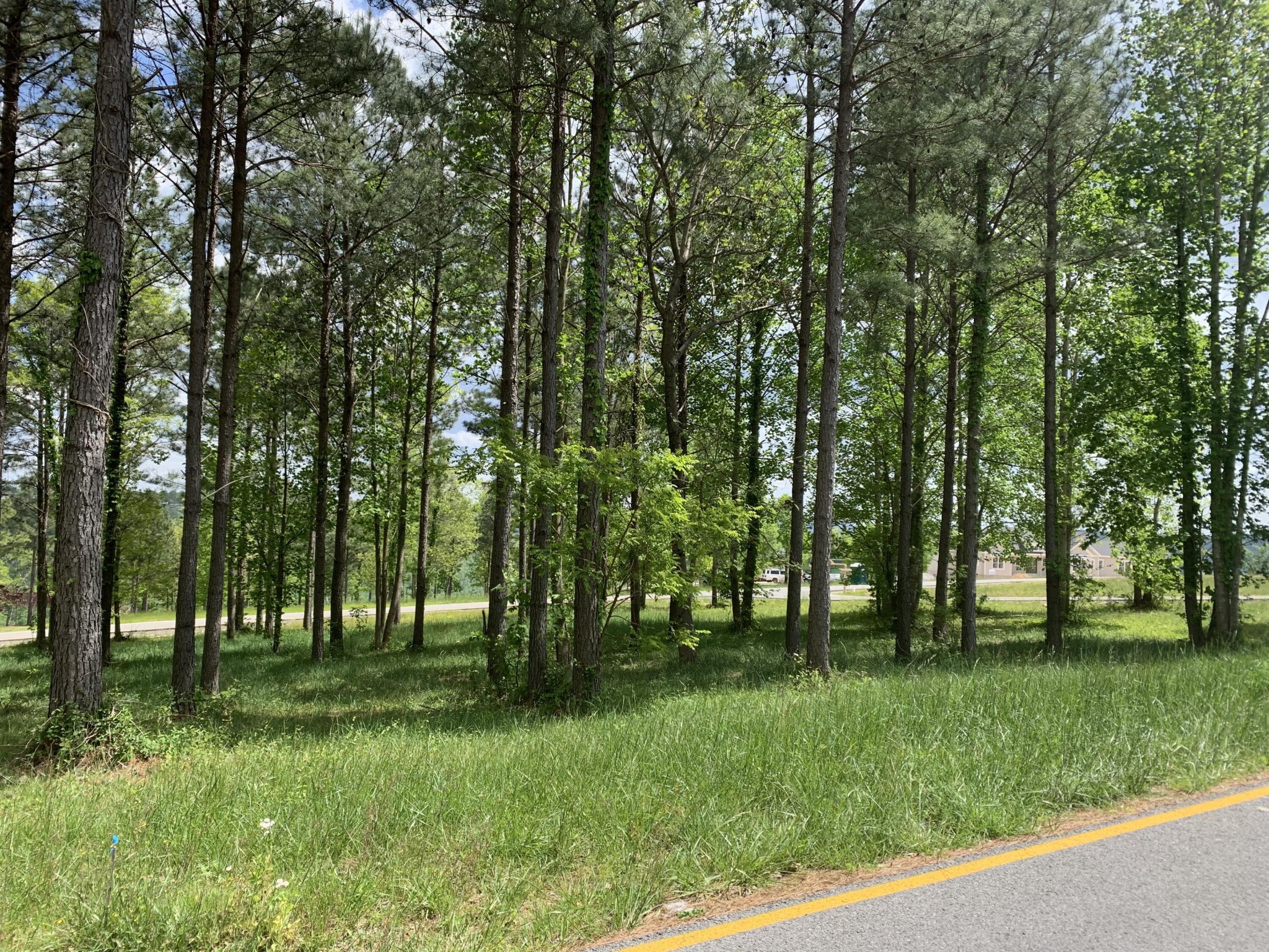 1130 Sunset Circle Jasper, TN 37347 - Photo 6 of 26