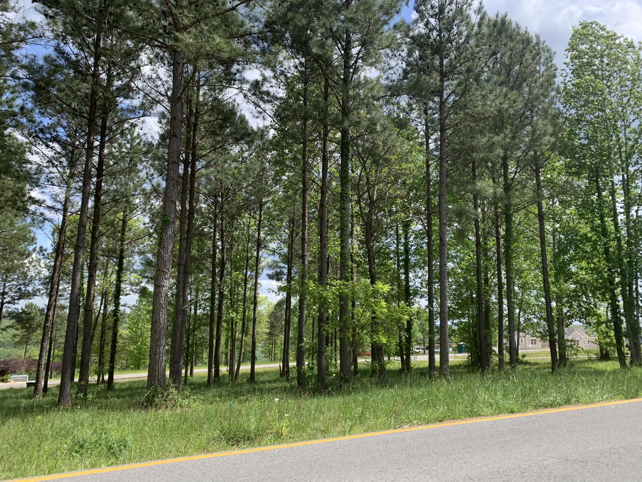 1130 Sunset Circle Jasper, TN 37347 - Photo 7 of 26