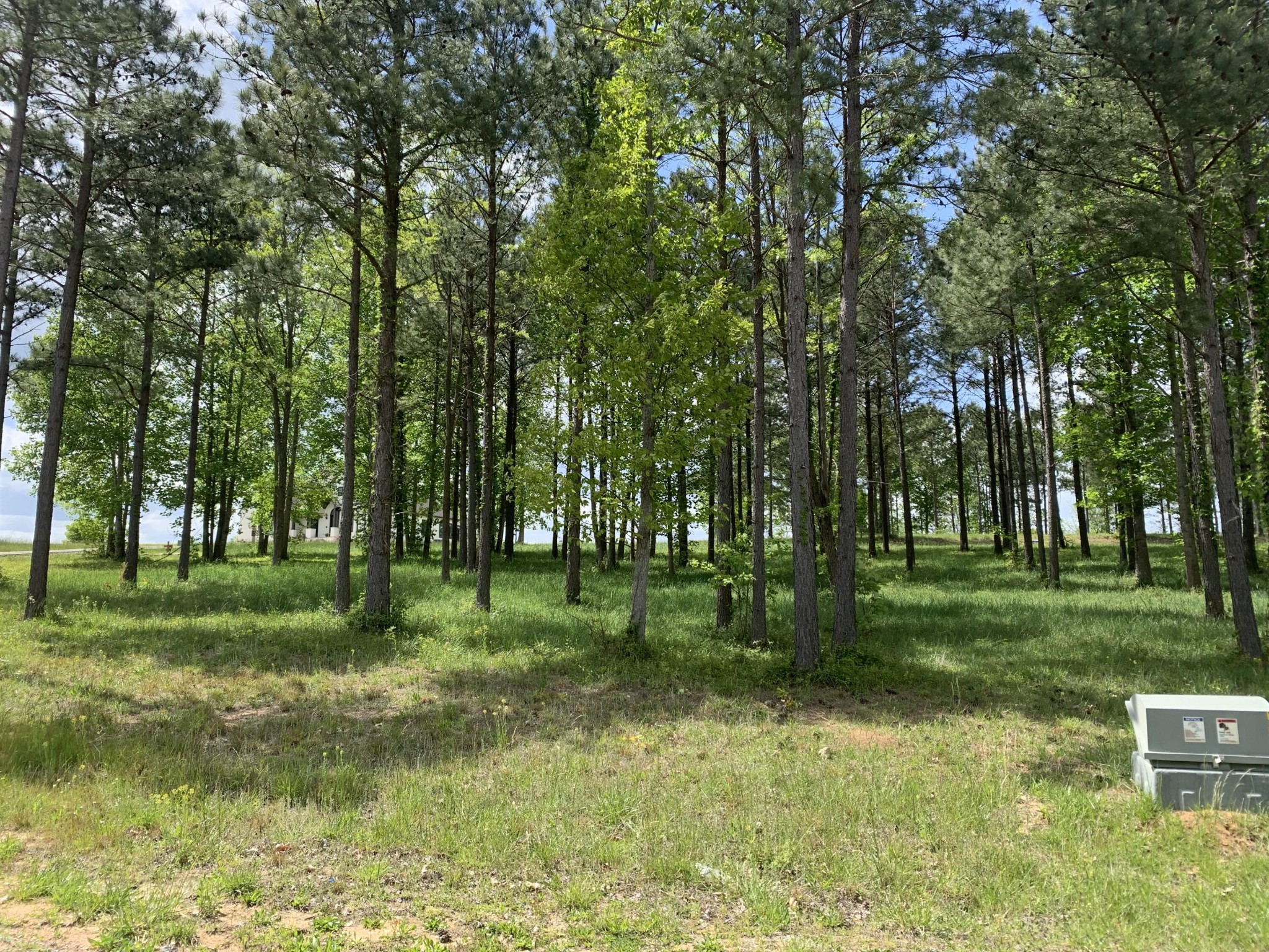 1130 Sunset Circle Jasper, TN 37347 - Photo 8 of 26