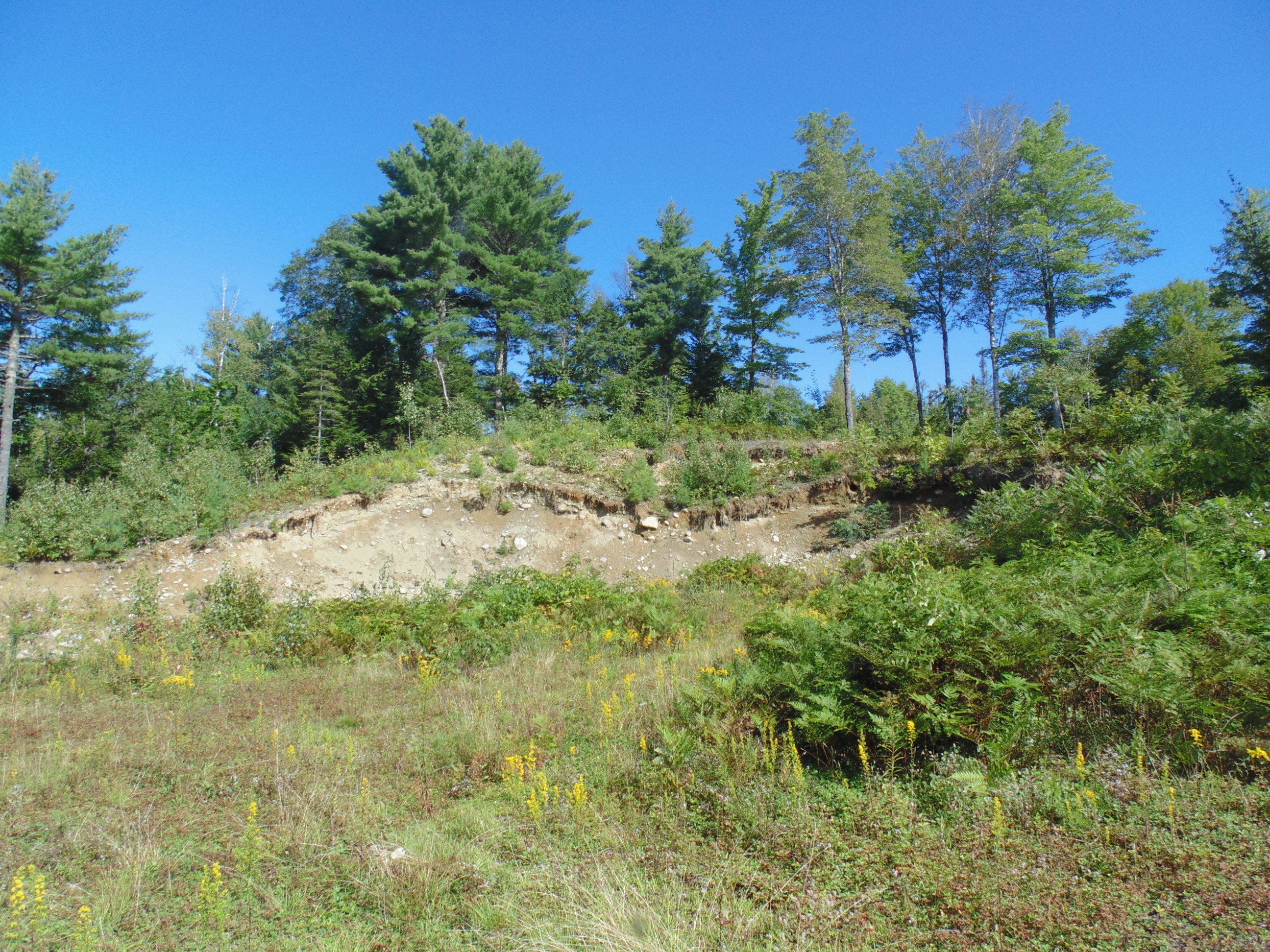 537 Airline Road Amherst, ME 04605 - Photo 50 of 57 DSC05771