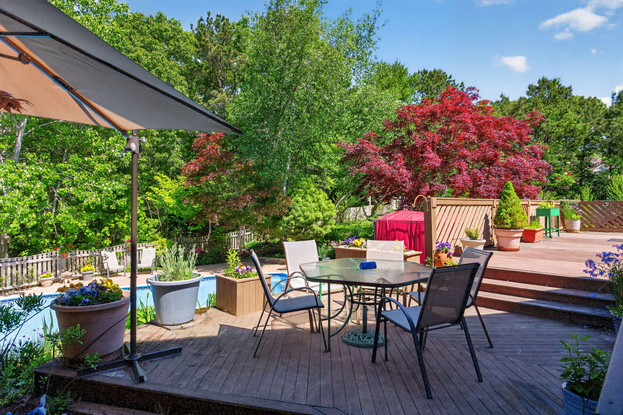 81 Indian Spring Road West Barnstable, MA 02668 - Photo 52 of 64 23-8P0A8718