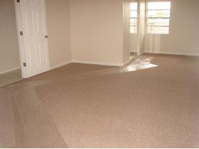 3197 Northeast Eastman Palm Bay, FL 32905 - Photo 9 of 11 an empty room with windows