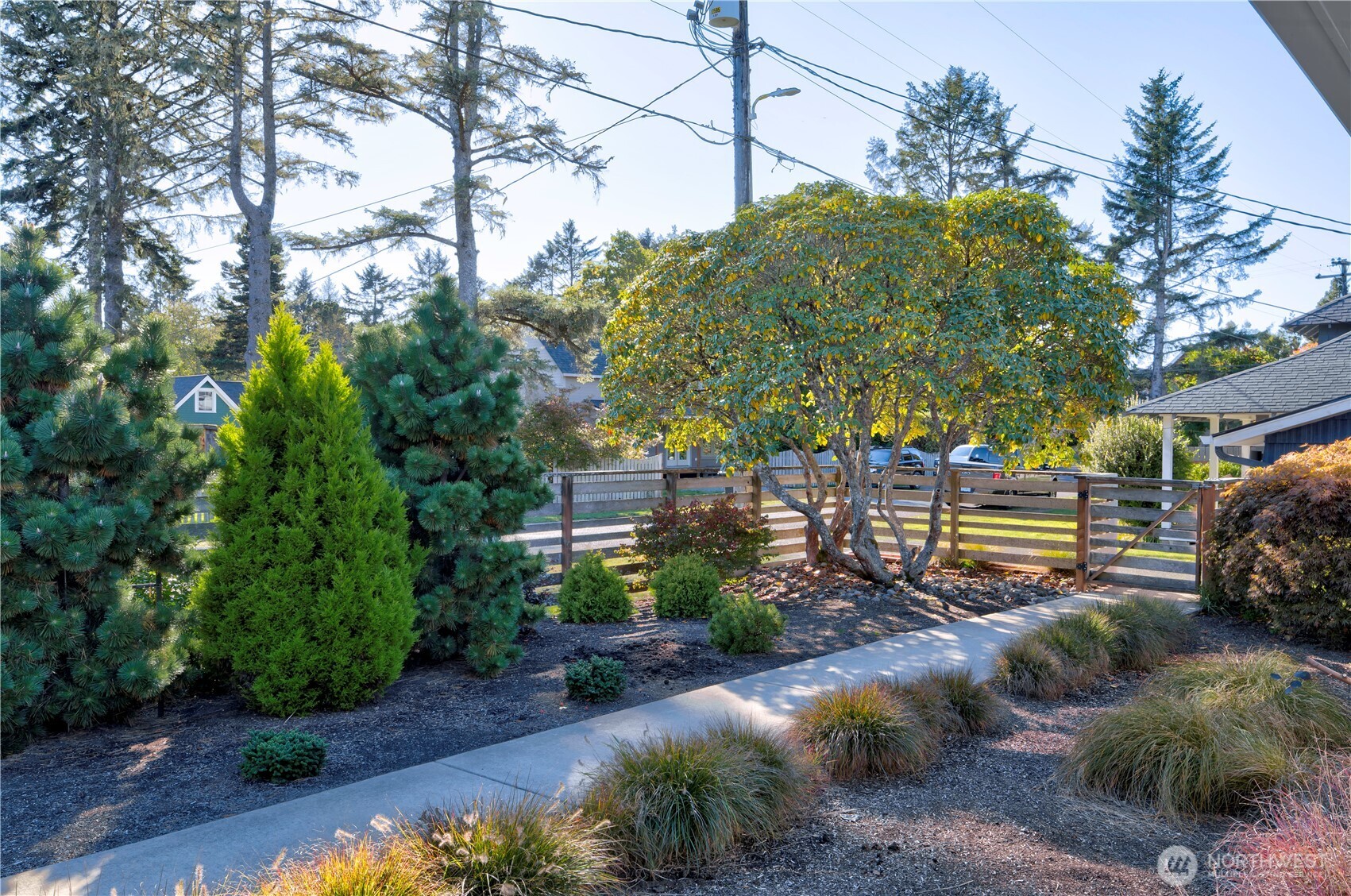 1115 34 Street Seaview, WA 98644 - Photo 5 of 31 a backyard of a house with lots of green space