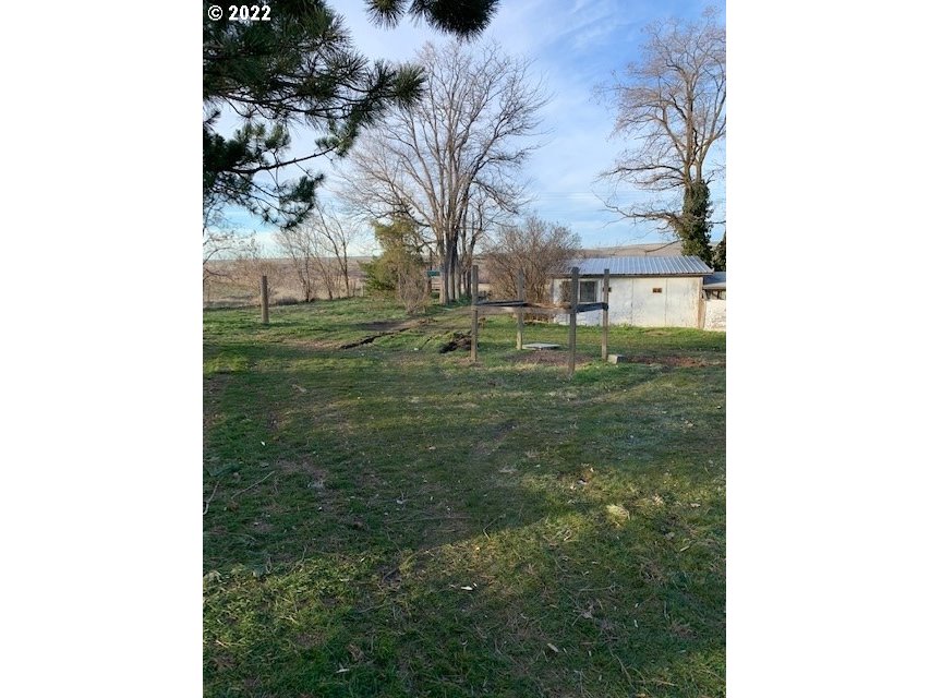 49366 Cayuse Road Pendleton, OR 97801 - Photo 3 of 12 a backyard of a house