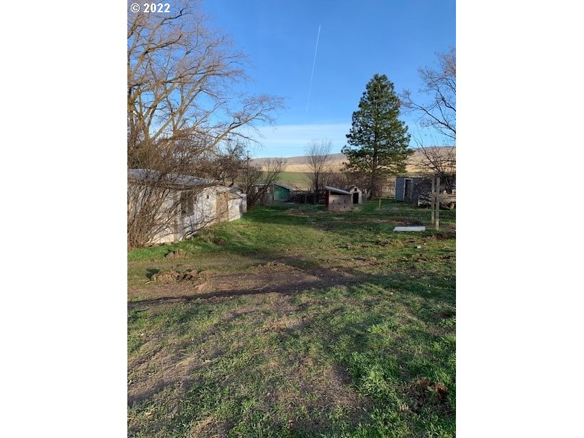 49366 Cayuse Road Pendleton, OR 97801 - Photo 5 of 12 a view of a yard in front of a house