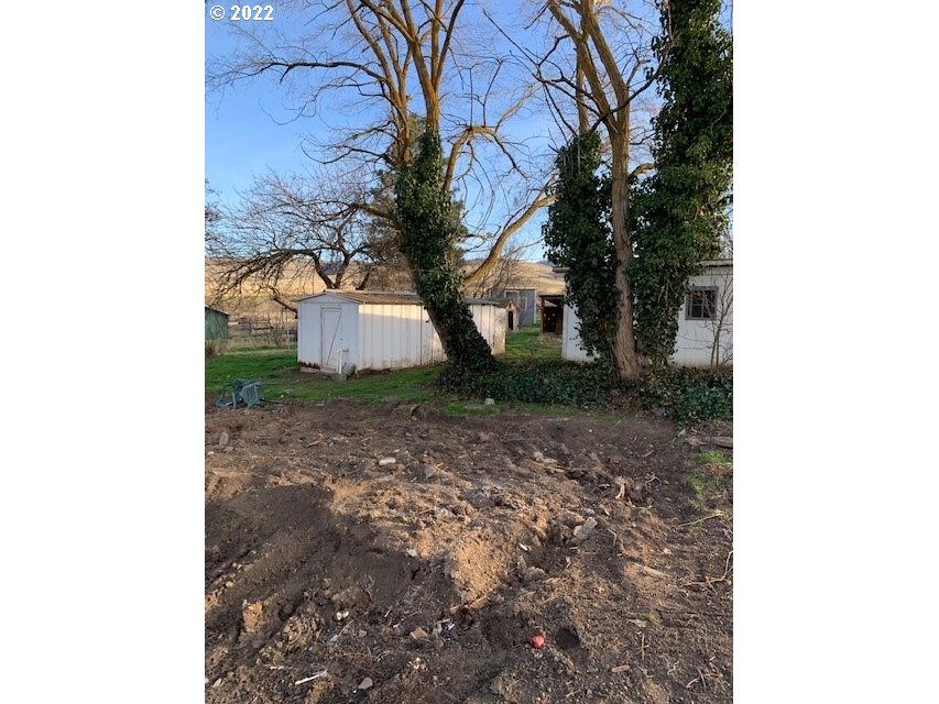 49366 Cayuse Road Pendleton, OR 97801 - Photo 6 of 12 a view of a yard with plants and trees