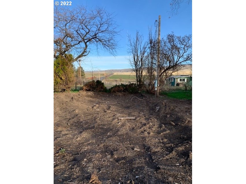 49366 Cayuse Road Pendleton, OR 97801 - Photo 7 of 12 a view of a yard with trees