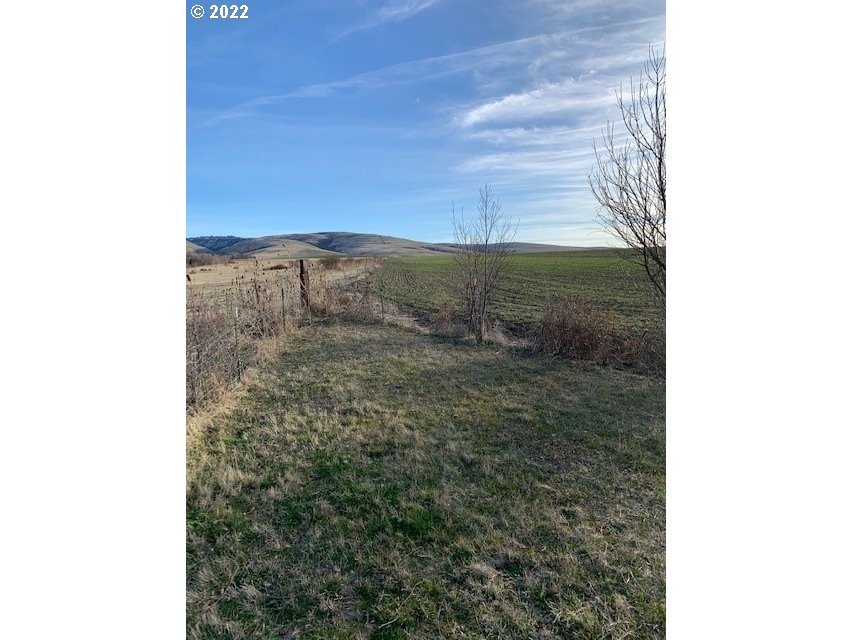 49366 Cayuse Road Pendleton, OR 97801 - Photo 8 of 12