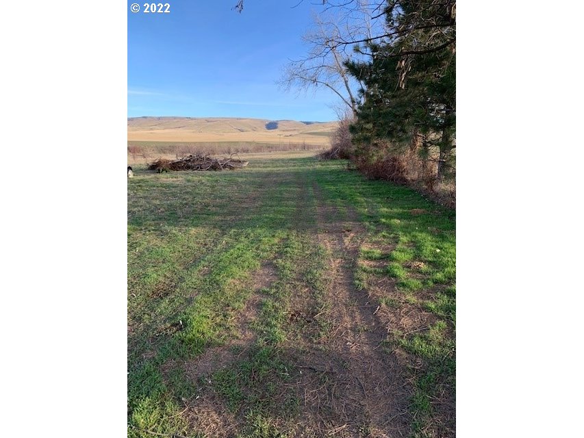 49366 Cayuse Road Pendleton, OR 97801 - Photo 10 of 12 a view of a field with an ocean