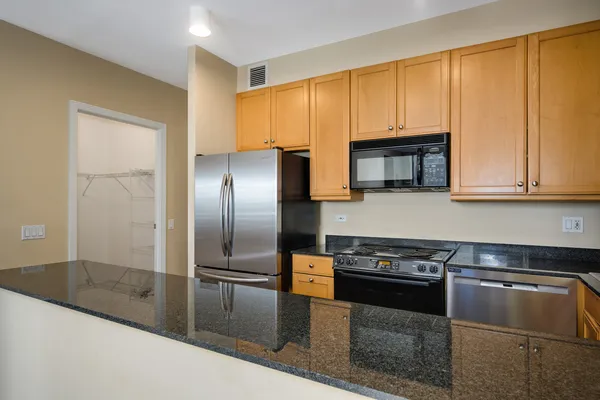 $295,000 | 501 North Clinton Street, Unit 2001, Chicago, IL 60654