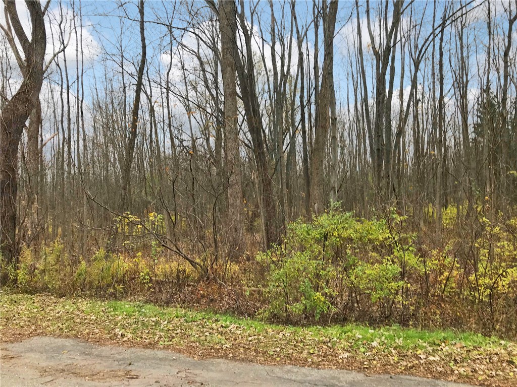 0 Walworth Marion Rd-wal Mar Spur Road Walworth, NY 14568 - Photo 1 of 1 Gallery Image 1