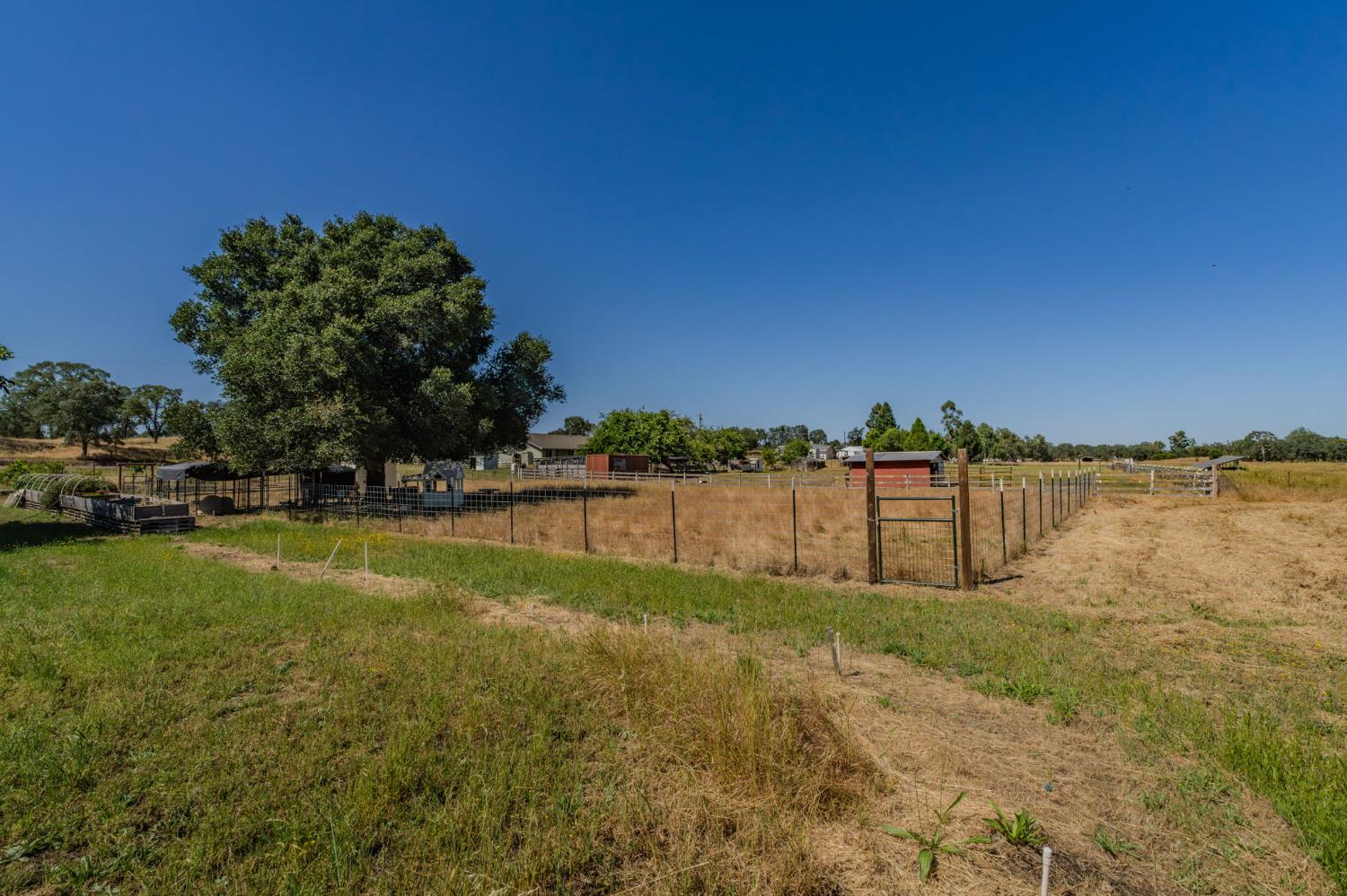 5726 Pettinger Road Valley Springs, CA 95252 - Photo 64 of 77