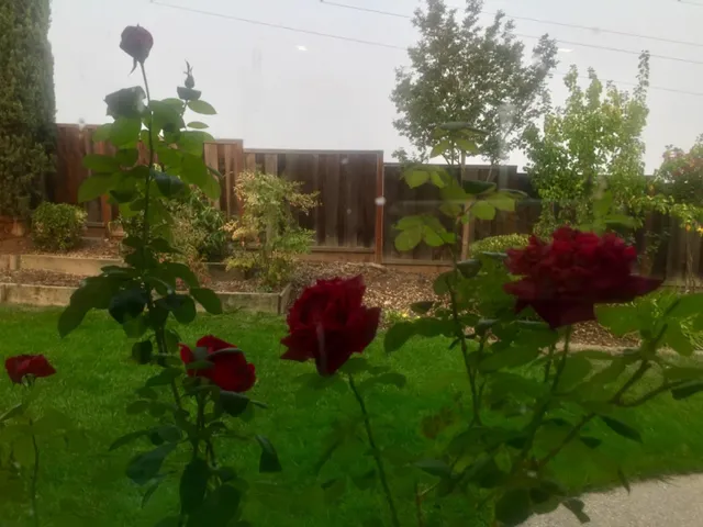 a view of a yard with an outdoor seating