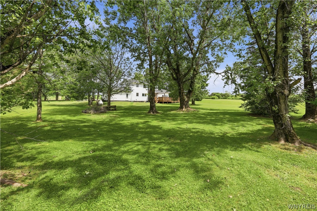 7143 Mt Monroe Road New Hudson, NY 14727 - Photo 49 of 50
